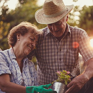  Older couple gardening